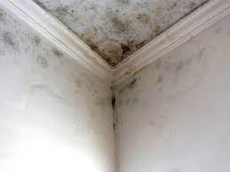 Best Residential Mold Inspection & Testing  in Lakeland Village, CA